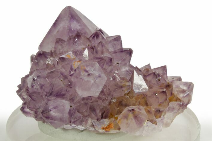 Sparkling Cactus Amethyst Crystal Cluster - South Africa #364592